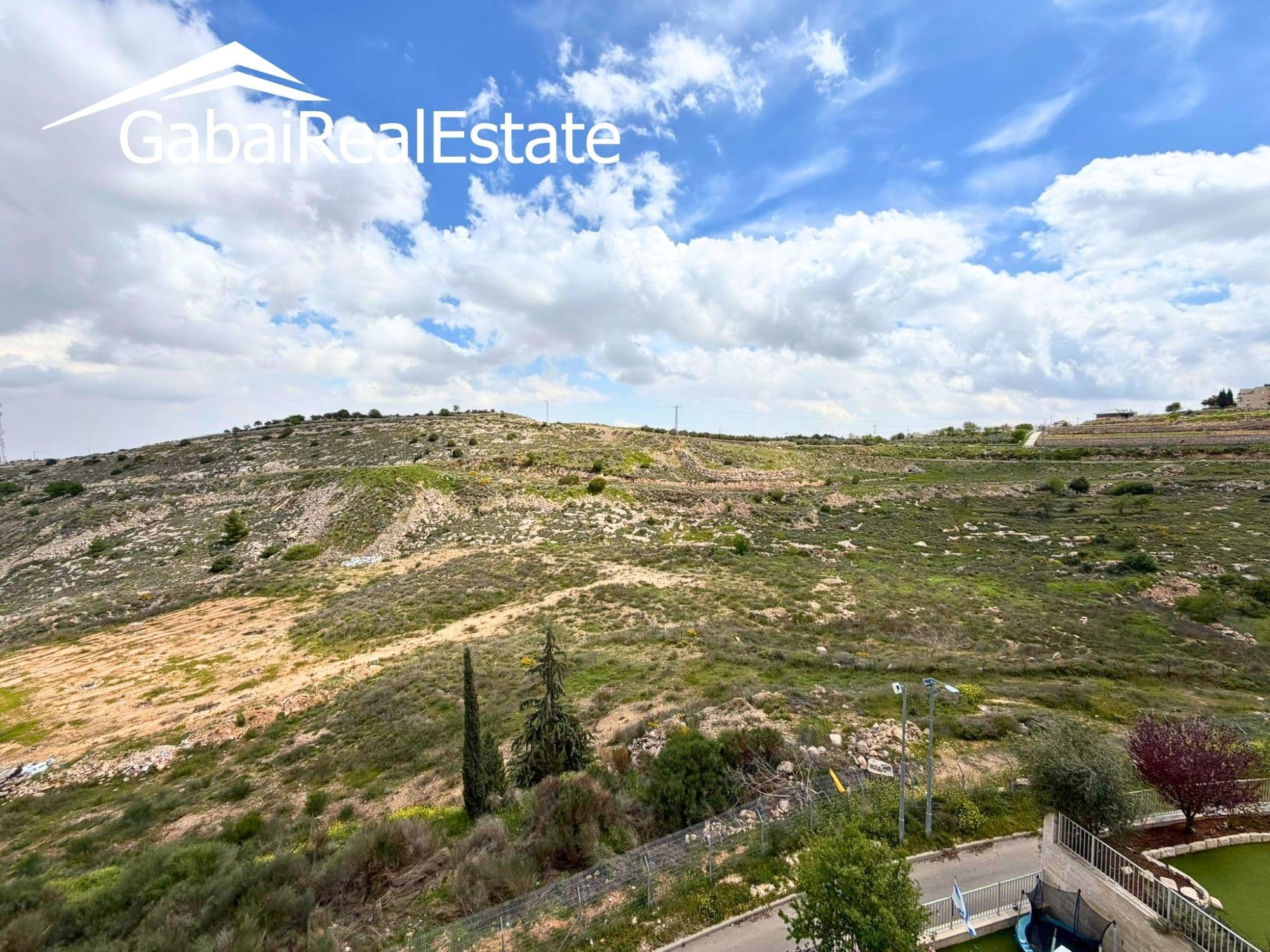 Matityahu Hacohen, Zayit — image 8 of 13